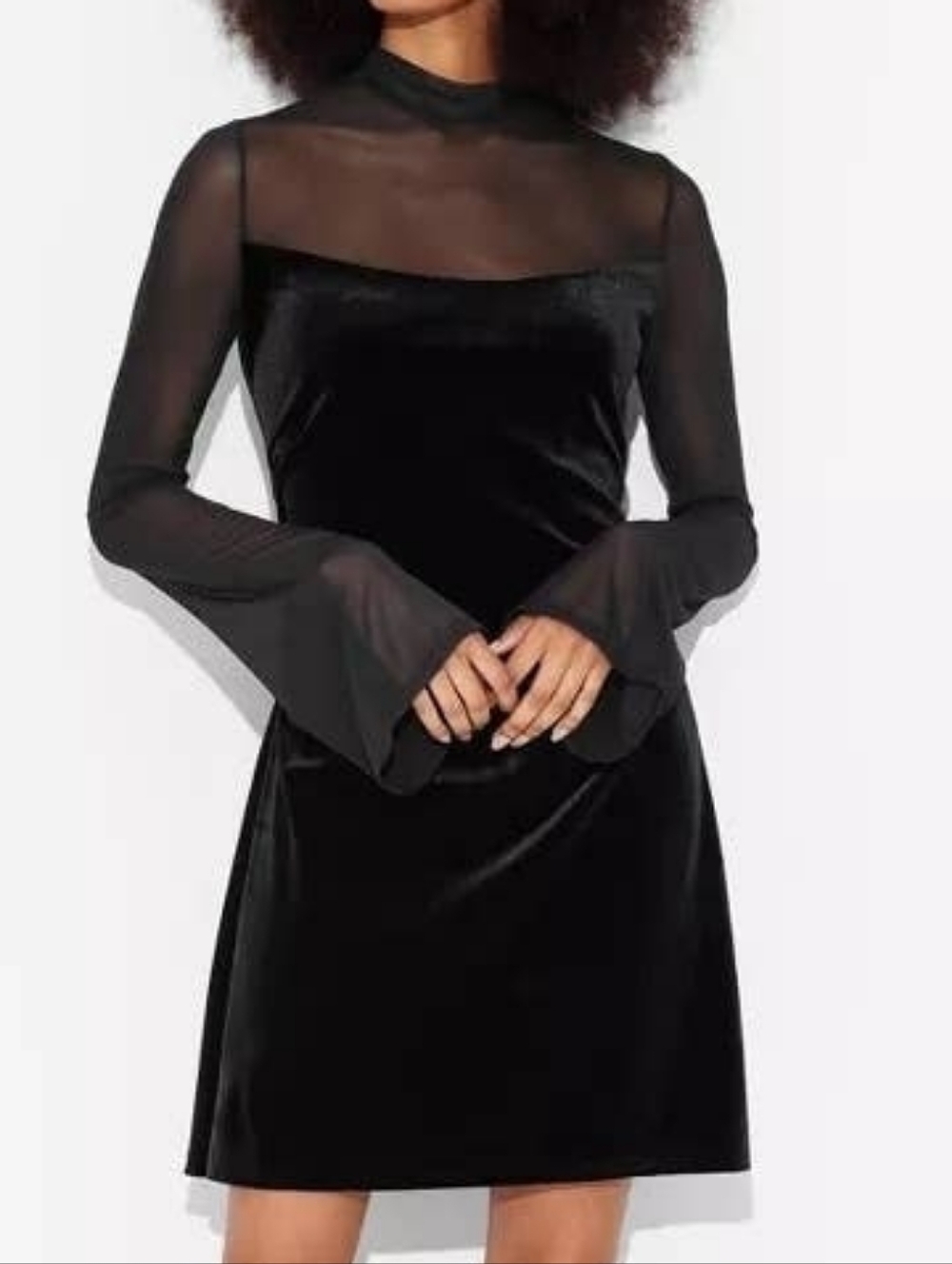 wild fable Black Velvet Mini Dress with Sheer Mesh Sleeves